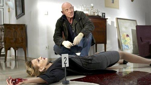 undefined Season 40 Episode 23 - With a Steady Hand