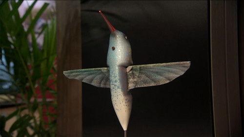 Vetenskapens värld Season 41 Episode 20 - Episode 20