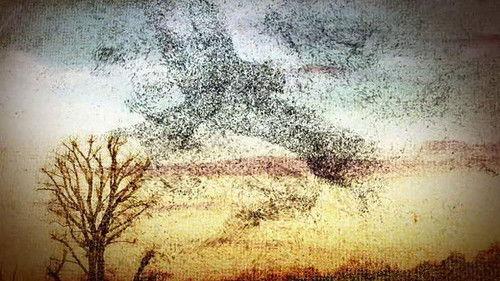 B. J. and the Bear Season 3 Episode 1 - B.J. and the Seven Lady Truckers (1)