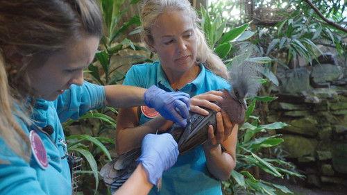 Dyrepasserne Season 11 Episode 5 - Episode 5