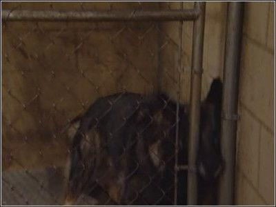 Married... with Children Season 8 Episode 11 - Change for a Buck