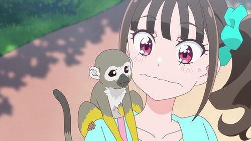 Wonderful Precure! Season 1 Episode 32 - Favorite Animal at the Zoo