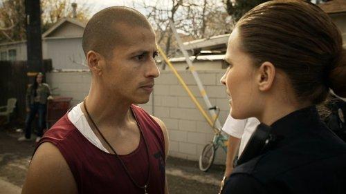 undefined Season 8 Episode 17 - The Enemy Within