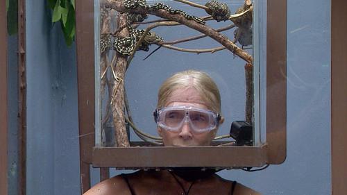 I'm a Celebrity...Get Me Out of Here! Season 15 Episode 8 - Helmets of Hell