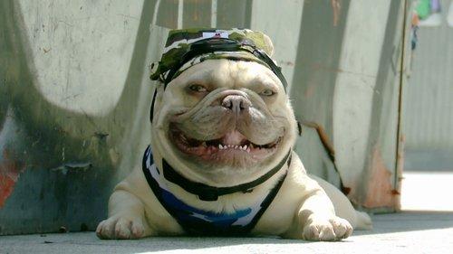 Callejeros Season 10 Episode 7 - Episode 7