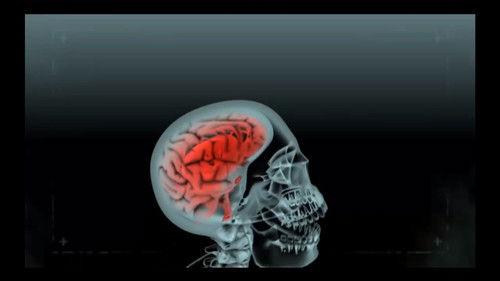 1000 Ways to Die Season 3 Episode 22 - Stupid Is as Death Does