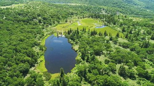 Wild Hokkaido! Season 3 Episode 16 - Summer in Niseko