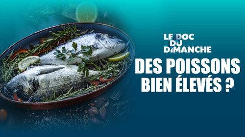 Le Doc du dimanche Season 14 Episode 32 - Episode 32