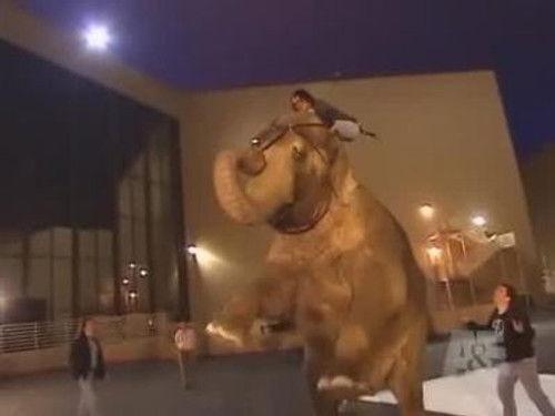 Criss Angel Mindfreak Season 2 Episode 5 - Animal Magic