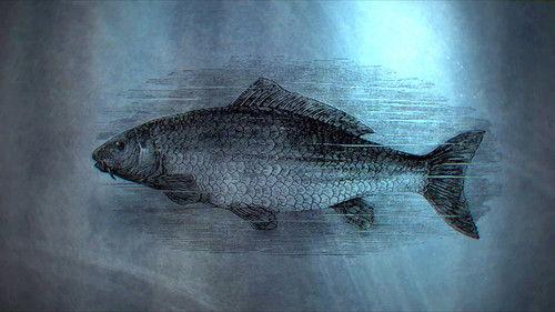 GurmetLab Season 1 Episode 1 - Episode 1