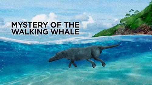 The Nature of Things Season 63 Episode 2 - The Mystery of the Walking Whale