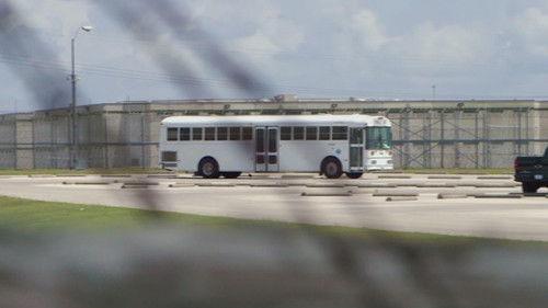 Court Cam Season 7 Episode 8 - #708