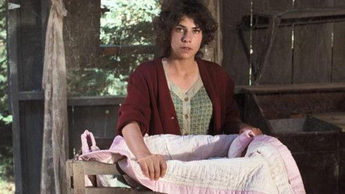 The Waltons Season 6 Episode 7 - The Grandchild