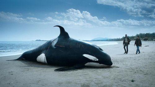 undefined Season 1 Episode 1 - Episode 1