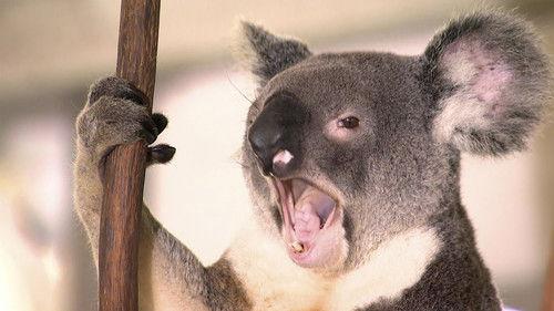 Fizzy and Suds Season 1 Episode 17 - Music