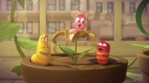 Larva Season 2 Episode 2 - Soap Bubbles