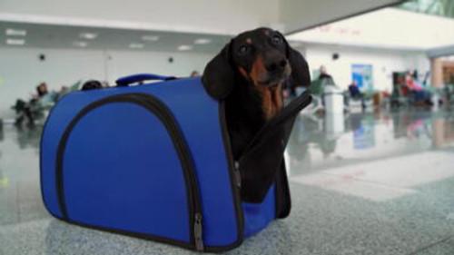 Customer Wars Season 2 Episode 1 - Rage Against the Rideshare Driver