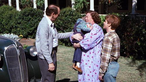 The Waltons Season 9 Episode 19 - The Heartache
