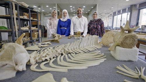 Lost Beasts Season 1 Episode 4 - Secrets of the Terror Whale