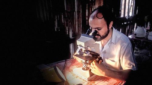 Ossi di Seppia - Il rumore della memoria Season 1 Episode 12 - Episode 12