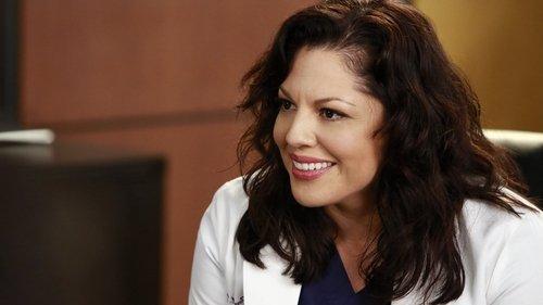 Grey's Anatomy Season 11 Episode 16 - Don't Dream It's Over