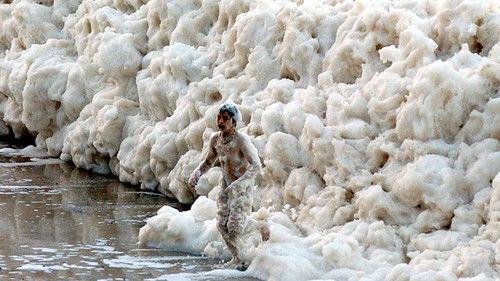 Nature's Weirdest Events Season 1 Episode 2 - Episode 2