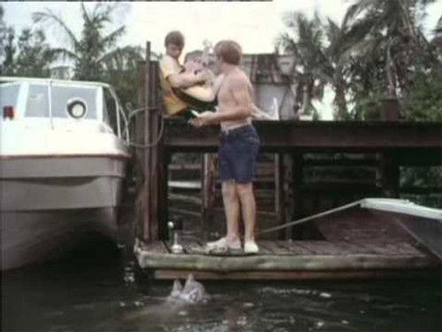 Flipper Season 3 Episode 1 - Agent Bud