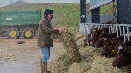 Clarkson's Farm Season 2 Episode 4 - Badgering