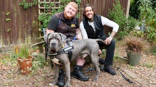 Pete Wicks: For Dogs’ Sake Season 2 Episode 1 - Theo And The Suitcase Pups