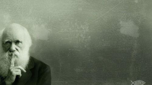 Shortland Street Season 3 Episode 2 - Episode 422