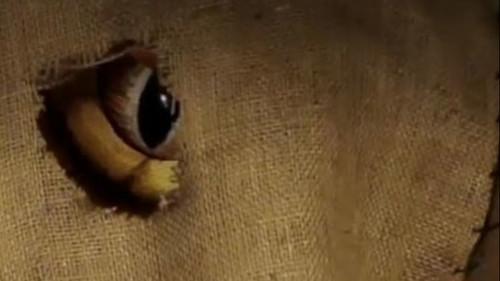 The Aquabats! Super Show! Season 1 Episode 12 - CobraMan!