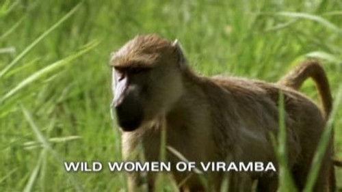 Natural World Season 21 Episode 10 - Wild Women of Viramba