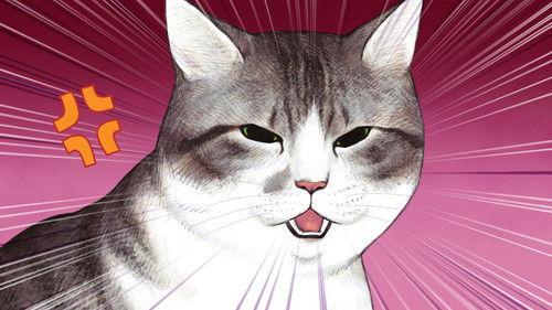 I, Tsushima Season 1 Episode 8 - Episode 8