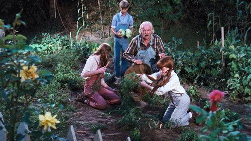 The Waltons Season 4 Episode 13 - The Nurse