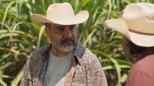 Doménica Montero Season 1 Episode 49 - La luz de la verdad