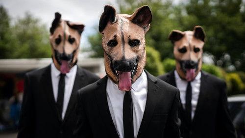 undefined Season 7 Episode 3 - Dog Day Morning