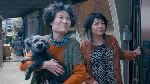 I Didn't Love You Because I Was a Family, But I Loved You as a Family Season 1 Episode 8 - Episode 8