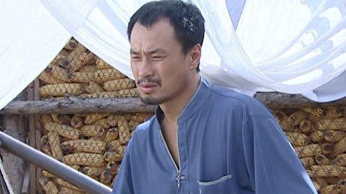 Love Stories in the Countryside Season 1 Episode 22 - Episode 22