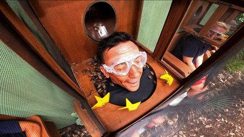 I'm a Celebrity...Get Me Out of Here! Season 23 Episode 11 - In Too Deep