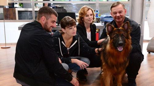 Komisarz Alex Season 8 Episode 3 - Episode 3