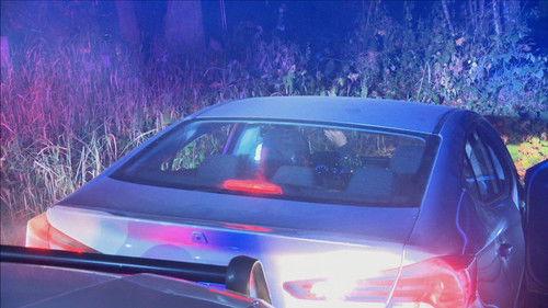 Cops Season 37 Episode 32 - Misspent Youth