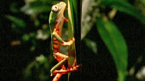 Nature Season 18 Episode 15 - The Body Changers