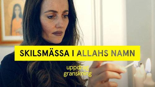 Uppdrag granskning Season 22 Episode 16 - Episode 16