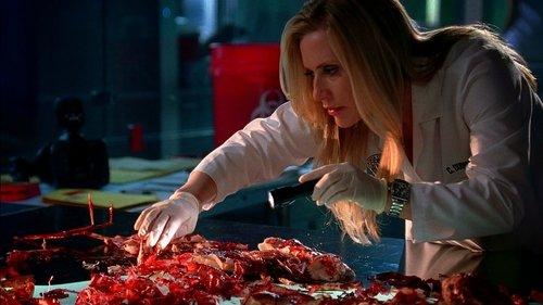 CSI: Miami Season 7 Episode 21 - Chip/Tuck