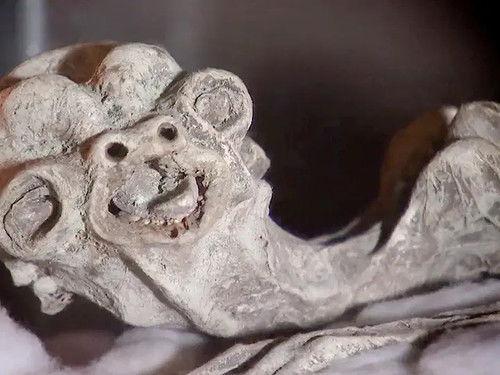 River Monsters Season 3 Episode 6 - Cold-Blooded Horror