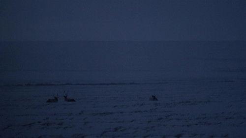 Life Below Zero Season 21 Episode 1 - Pulled from the Darkness