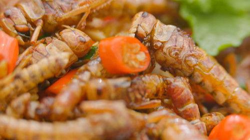 老广的味道 Season 8 Episode 3 - Episode 3