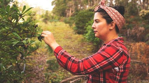 A Girl's Guide to Hunting, Fishing and Wild Cooking Season 1 Episode 7 - Episode 7