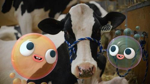 Fizzy and Suds Season 1 Episode 20 - Cows