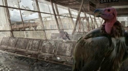 Life After People: The Series Season 2 Episode 8 - Sky's The Limit